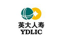 英大财险